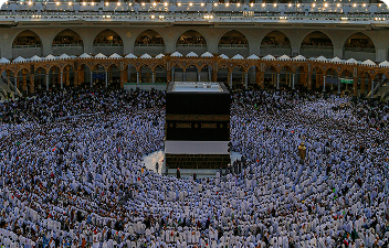صورة الباقة